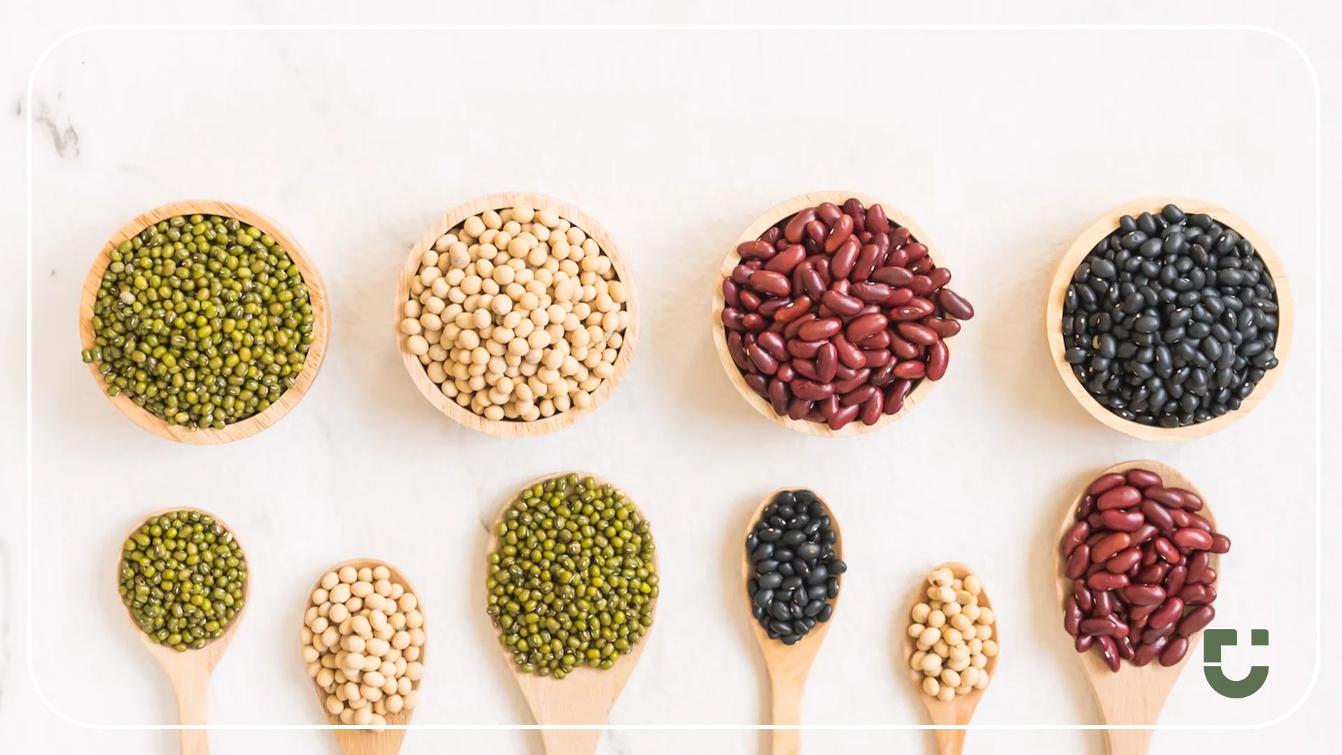 خواص انواع حبوبات