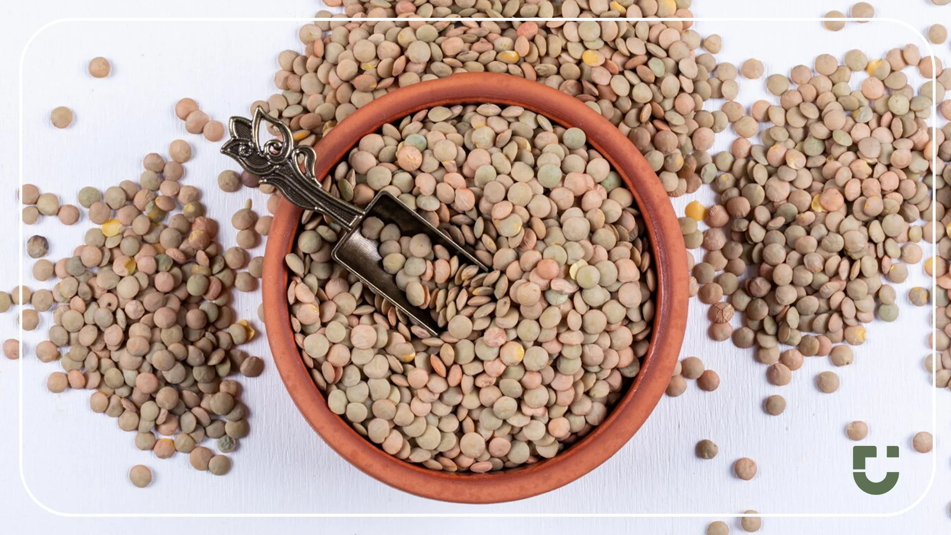 خواص عدس برای بدن