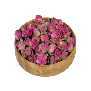 غنچه گل محمدی