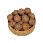 فندق ماکادمیا