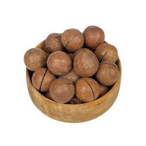 فندق ماکادمیا